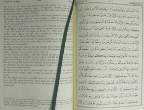 The Noble Quran Reader with Full Page Arabic and English - Image 3